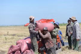 Tập huấn điều tra rà soát hộ nghèo, cận nghèo