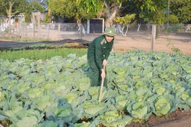 Đảm bảo hậu cần mùa mưa bão