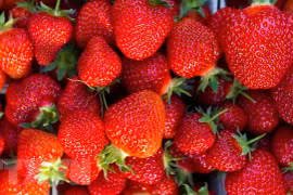 Dâu tây có thể giúp ngăn ngừa nguy cơ ung thư ruột kết,trực tràng