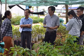 Tăng cường quản lý sản xuất, kinh doanh vật tư nông nghiệp