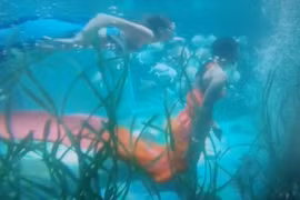 Chuyện các 'nàng tiên cá'