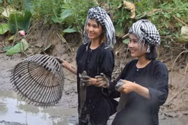 Một ngày lênh đênh Tràm Chim, ngắm chim, mò cua bắt cá