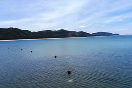 Nghẹt thở giải cứu hàng loạt học sinh bị sóng cuốn ra biển