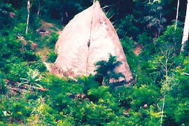 Phát hiện bộ lạc mới trong rừng Amazon