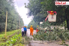 Gia Lai: Tăng cường các biện pháp đảm bảo an toàn điện trong mùa mưa bão