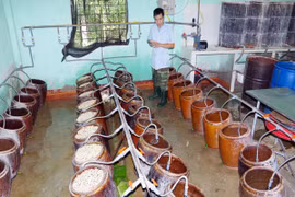 Tuổi trẻ Quân đoàn 3 sáng tạo trong tăng gia sản xuất