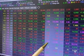 Phạt tù nữ đại gia lập ma trận cổ phiếu "mồi chài" nhà đầu tư