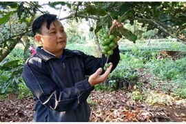 Bài 1: Những tín hiệu tích cực