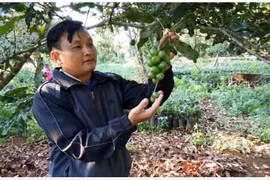 Bài 1: Những tín hiệu tích cực