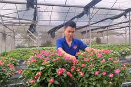 Chàng trai say mê nông nghiệp sạch