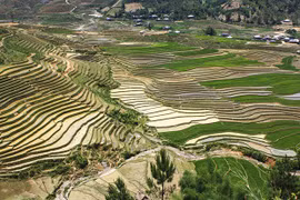 Mù Cang Chải mùa nước đổ: Bức bích họa giữa đại ngàn Tây Bắc