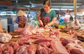 Nhóm lợi ích nào đã đẩy giá thịt lợn chỉ rẻ trên tivi?