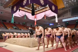 Virus corona 'hạ gục' một võ sĩ sumo Nhật