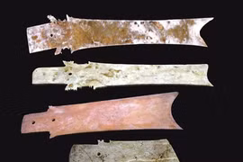 Hai bảo vật quốc gia mới nhất, chỉ có 1 mà không có 2 ở tỉnh Phú Thọ là những thứ gì?