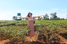 "Sống như thể hôm nay là ngày cuối"