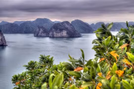 Báo Mỹ: Việt Nam đang chiếm ưu thế trong phục hồi du lịch