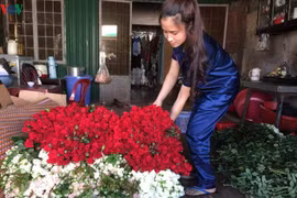 Lâm Đồng: Rau, hoa tăng giá trở lại, nhà vườn phấn khởi