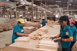 Ngành gỗ vượt qua COVID-19, mang về kim ngạch xuất khẩu 12 tỉ USD