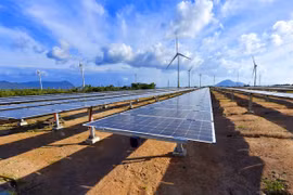 Nhà đầu tư ngoại "thâu tóm" dự án điện mặt trời, Bộ Công Thương nói gì?