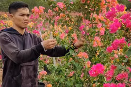 Khởi nghiệp từ vườn hoa giấy