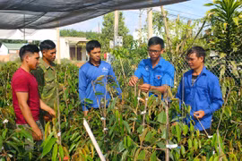 Tận tâm với phong trào Đoàn