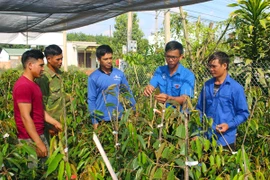 Tận tâm với phong trào Đoàn