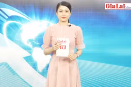 Gia Lai 48h: Tổng kiểm soát phương tiện giao thông cơ giới Đường bộ