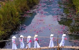 Ảnh: Suối Yến của Việt Nam đạt giải nhất cuộc thi Nhiếp ảnh mùa xuân 2020