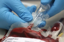 12 triệu người Việt Nam mang gien bệnh thalassemia