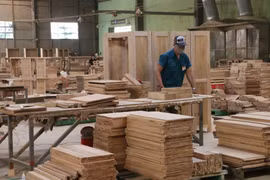 Tổng cục Lâm nghiệp nói lý do xuất khẩu gỗ rơi xuống, tạo đáy sâu