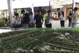 Thành phố trực thuộc trung ương và nhiều địa phương không được phân lô bán nền?