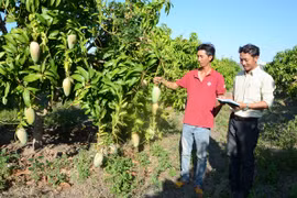 Những tỷ phú ở Pờ Tó