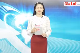 Gia Lai 48h: Thị trường Bảo hiểm xe máy đang "nóng" lên từng ngày