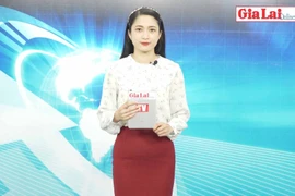 Gia Lai 48h: Thị trường Bảo hiểm xe máy đang "nóng" lên từng ngày