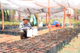 Kiểm tra tính pháp lý của đại lý Tân Quang Phong