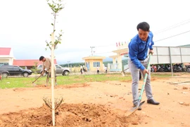 Tỉnh đoàn Kon Tum ra quân trồng cây xanh