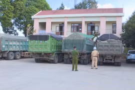 Đắk Lắk: Xử phạt loạt xe "hung thần" chở cát quá tải