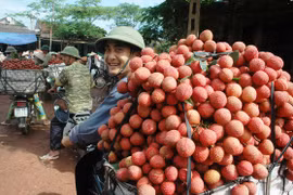 Tin vui bất ngờ cho trái vải Việt Nam