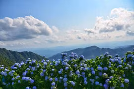 Có một Đà Lạt trên đỉnh Mẫu Sơn