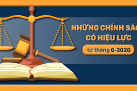 Những chính sách có hiệu lực từ tháng 6-2020