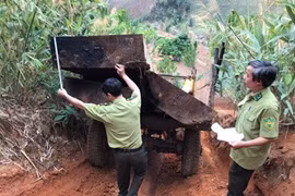 Kon Tum quyết liệt truy quét các điểm nóng phá rừng