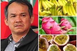 Các khoản lỗ của Hoàng Anh Gia Lai sẽ giảm dần bằng cách nào?