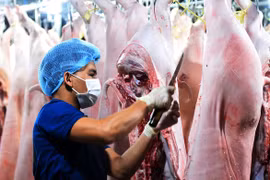 Vì sao giá thịt heo không chịu giảm?