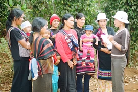 Gia Lai: Đẩy mạnh phòng-chống bạo lực gia đình