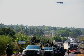 Tìm thấy 12 thi thể đầy vết đạn chất trên xe bán tải