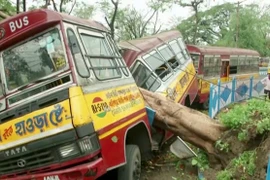 Siêu bão làm 95 người thiệt mạng ở Ấn Độ, Bangladesh