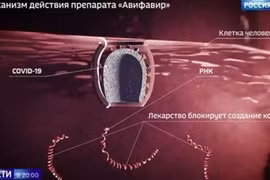 Nga điều chế thành công thuốc điều trị Covid-19