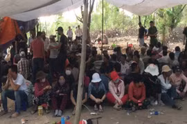 Đồng Nai: Triệt phá nhiều tụ điểm đánh bạc quy mô lớn vùng giáp ranh