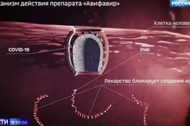 Nga điều chế thành công thuốc điều trị Covid-19