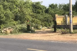 Voi nhà ở Đắk Lắk húc chết người